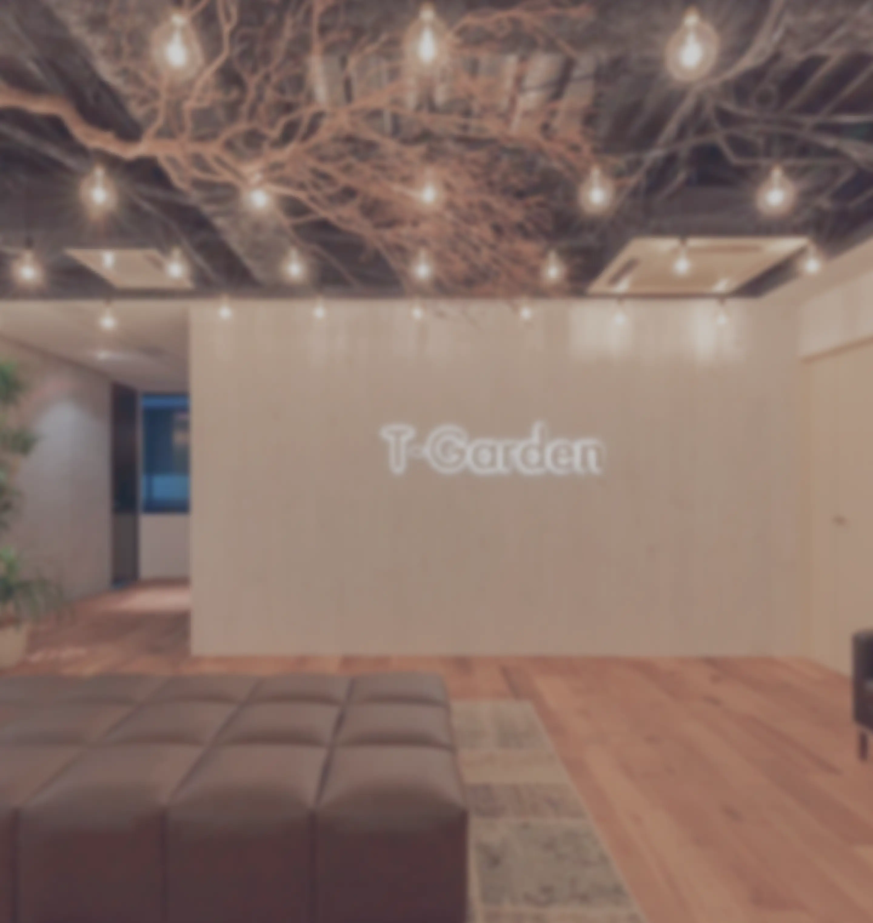 T-Garden的工作