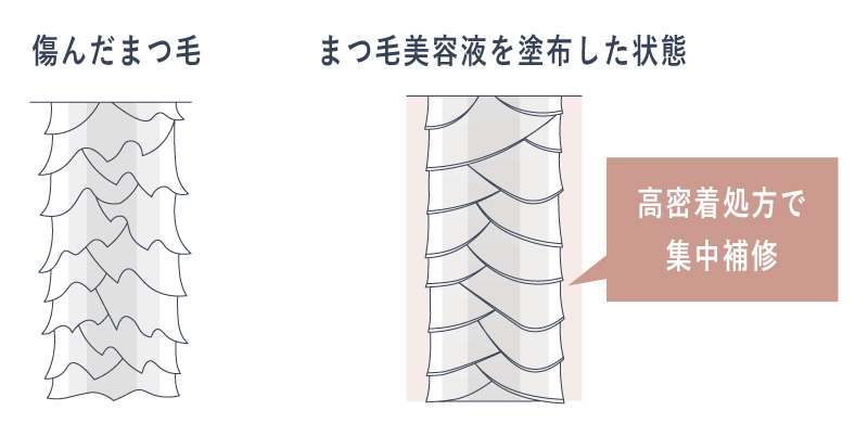 切れ毛・枝毛を補修 | Borica アイラッシュセラム