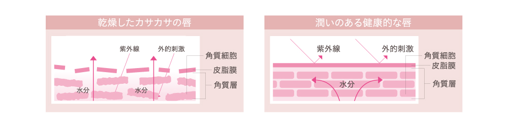 乾燥した唇と健康な唇