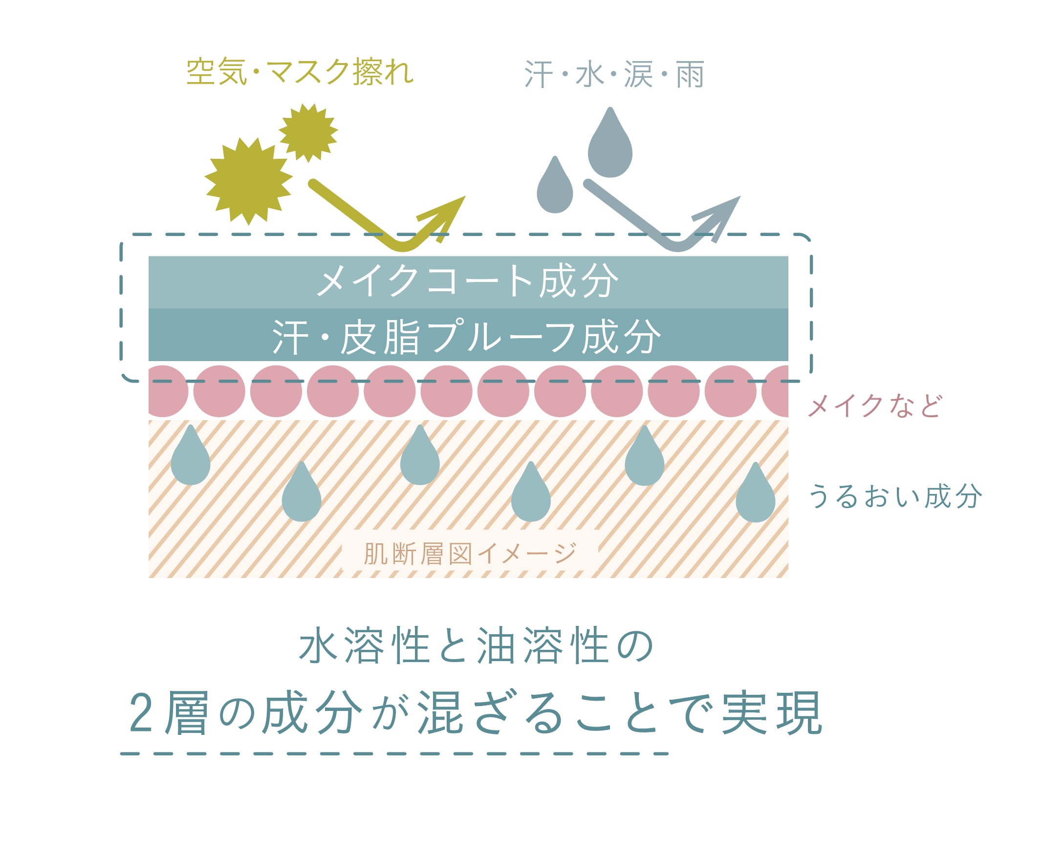 水溶性＋油溶性 2層式の成分構成 | shushupa!（シュシュパ）